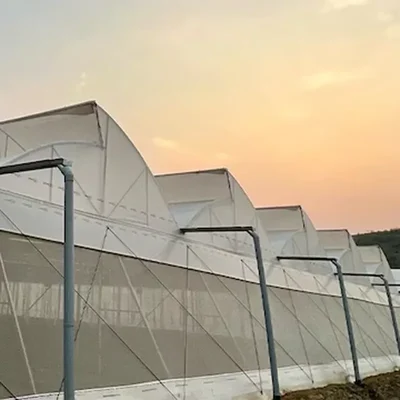 High Quality 205N 200 micron, 5 layers Sun Cover | Suitable for Agriculture and Gardening(Size-5.5 meter x 50 meter)