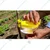 Indo Agritech 200 Pieces of Yellow Funnel Trap (1st-Grade Plastic) for Agricultural Purpose