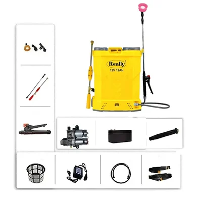 Really RAPL-20DM-12A, 20 L Double Motor Battery Operated Sprayer (12V/12A)