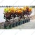 Petra Croton & Thin Leaves Croton Plants Combo Pack With Pots Used For Both Indoor & Outdoor Planting