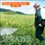 Neptune VN 708, 26-cc 2 Stroke 20L Knapsack Power Sprayer  for Agriculture Purposes