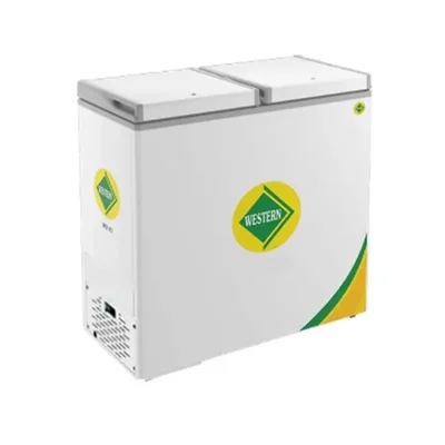 WESTERN D300H224 Double Hard Top Door 224L Convertible Freezer for Ice Cream Parlour and Supermarkets