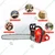 Economy 58 cc Petrol Chainsaw | Wood Cutter with 22 inch Guide Bar and Free Accessories