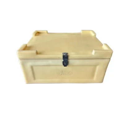 Allwin ARP 22 IB Insulated 22 Liter Ice Box,24 hrs Insulation Support with Roto-Moulded Technology for Picnic & Outdoor, Beige Colour