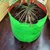 Shiv Biotech 250 GSM, 10 pieces 24 inch x 24 inch HDPE, Round Shape, Reusable Grow Bag | Suitable for Nursery and Garden
