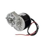 NAKS 24V 250W High Torque PMDC Gear Reduction Electric Bicycle Motor 300 RPM 9-Tooth Sprocket