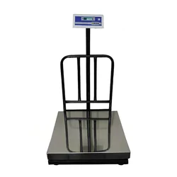 Metis 250 Kg Capacity Steel Platform Scale Weighing Machine With 1 Year Warranty