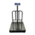 Metis 250 Kg Capacity Steel Platform Scale Weighing Machine With 1 Year Warranty