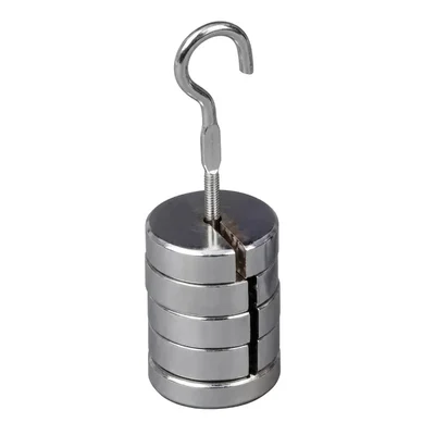 Cometek Weight - 50g × 5(250g) Total Slotted Weight with Hanger Precision Lab Mass Chrome Plated Iron Weights
