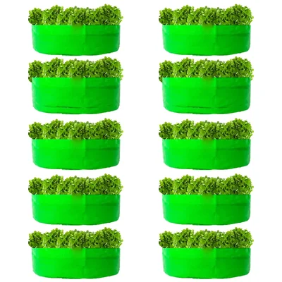 Shiv Biotech 250 GSM 10 pieces HDPE Round Shape Reusable Grow Bag | Suitable for Gardening and Nursery(Size-15 x 6 inch)