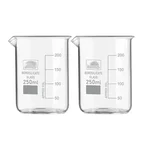 SBT Instruments 250ml x 2pcs Borosilicate 3.3 Glass Beakers with Graduation Marks