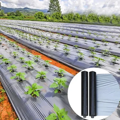 AGRI RISE 25 micron, 1.2 x 400 meter (4 x 1300 feet) Black and Silver Mulching Sheet | up to 6 months Warranty