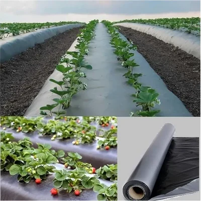 Orifresh 25 Micron Mulching Film of 4x400m for Weed Suppression & Soil Moisture Retention with UV Shield 