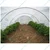 High Quality 280 pieces Fiber Stick Wire for Low Tunnel Crop Cover Support (4.7 mm x 6 feet)