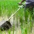 Kisankraft KK-PW-01, 28mm 9 Spline Paddy Weeder for Petrol Brush Cutter | Heavy Duty Weeding Tool