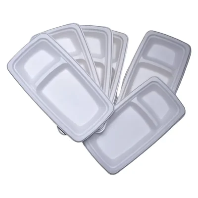 100pcs, Bagasse 2 Compartment Divided Snacks Plates for Party, Wedding & Other Events