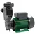 Damor 2Hp Single Phase Self-Priming Monoblock Pump || Copper Winding || 30m Head || 3480 LPH Flow || 1 Year Warranty