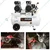 Elephant 2HP 50L Oil Free Double Head Air Compressor(AC50DC) with Air Blow Gun(ABG-05P), PU Pipe & Fitting Combo - 6 Months Warranty