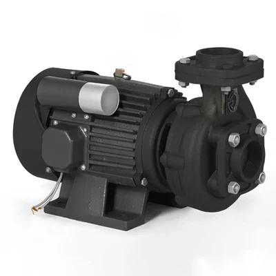 CG Power 2 Hp Single Phase Copper Winding Centrifugal Monoblock Pump, 50x40mm (CGXMB2090K) - 12 Months Warranty