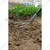 Redbuild 2 in 1 Hand Weeder with 1 Feet Handle | Rust Proof | Hand Weeder for Gardening