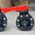 WaterSun 2 Inch PVC Butterfly Valve for Irrigation use,  water treatment, chemical processing