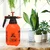 OEM 2L Handheld Sprayer for Gardening, Cleaning, and More
