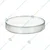WKM 75 mm Borosilicate Glass Petri Dish for Laboratories (Pack of 2)