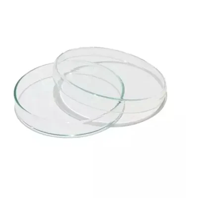 WKM 75 mm Borosilicate Glass Petri Dish for Laboratories (Pack of 2)