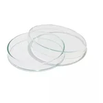 WKM 75 mm Borosilicate Glass Petri Dish for Laboratories (Pack of 2)
