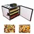 Premium Quality 3 Tray Food Dryer, 450W