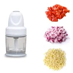 Premium Quality 300W Electric Vegetable Chopper with 2 SS Blade Attachment