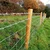 Premium Quality 300 Ft (91 Meters) Heavy Galvanized Barbed Wire Fence(Size-13 Gauge)