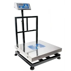 True Weight SS Platform Scale Weighing Machine, 300kg Capacity (TWP-300) with 1-Year Warranty