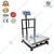 True Weight SS Platform Scale Weighing Machine, 300kg Capacity (TWP-300) with 1-Year Warranty