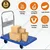 Big Apple 300 Kg Load Capacity 90 x 60 cm Platform Trolley (WH-1-300)