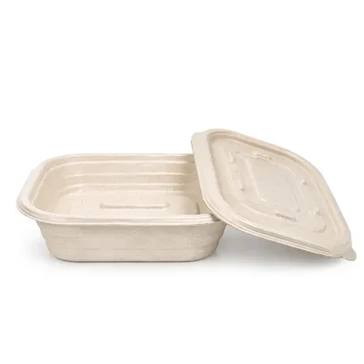 300 Pcs 500ml Bagasse Rectangular Containers with Lids | Microwave Safe Leakproof Takeout Box