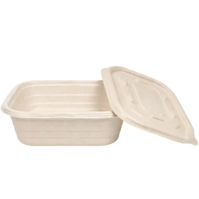 300 Pcs 650ml Bagasse Rectangular Containers with Lids | Microwave Safe Leakproof Takeout Box