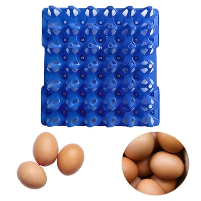 Plastic 11 x 11 Inches Egg Tray for 30 Eggs, (Pack of 10)