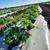 Vina 30 micron, 4 feet x 1200 feet Sliver and Black Mulching Sheet