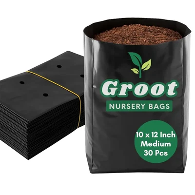 GROOT 10 x 12 Inches Nursery Bags for Plants, Medium (Black) - Pack of 30