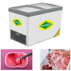 WESTERN F350GL25, 311 L Double Door Top Deep Freezer, Transparent Doors, Sliding Door System