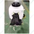 Really RAPL-KS-4131, Spray Pump of 20 Liter Sprayer With 4 Stroke 31 CC Engine