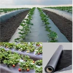 Orifresh 25micron Agricultural Mulching Film 3.25x400m for Weed Control with UV Protection