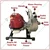 Heavy Duty 4-stroke 35-cc 1 inch Petrol Water Pump | Ideal for Irrigation Purposes