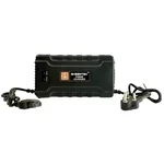 BHEEMTEK 36V 08A Fast Charger for Electric Bicycle & Scooter, Lithium Battery Power Adapter with 3-Pin DC Jack