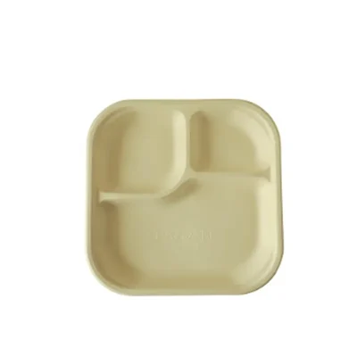 PAAVAN 3-Compartment Sugarcane Bagasse Eco-Friendly Meal Tray With Lid(Pack-50)