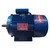 Crompower 3 Hp Single Phase 4 Pole 1440 RPM Foot Mounted AC Induction Motor With One Year Warranty