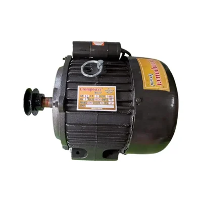 Crompower Special 3 HP Foot Mounted Copper Winding Induction Motor With 3 inch Pulley, 1440 RPM