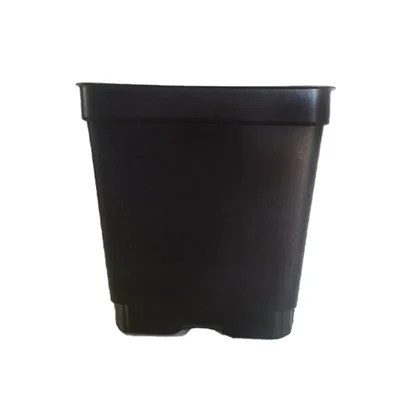 3.5 Inch Plastic Square Flower Pot/Nursery Pots for Gardening and Outdoor (Pack of 12)