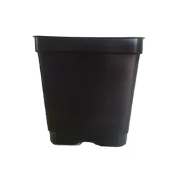 3.5 Inch Plastic Square Flower Pot/Nursery Pots for Gardening and Outdoor (Pack of 12)